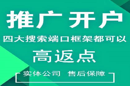 案例解读：SEM广告如何助力品牌崛起